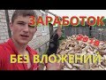 КОЛКА ДРОВ | Заработок без вложений в деревне 2018 - 3018 | 2000 рублей за...