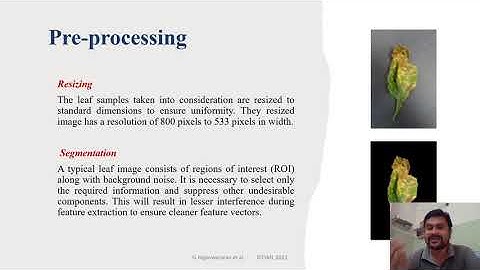 32-An Improved Content Based Image Retrieval system for Tomato Leaf Disease Classification