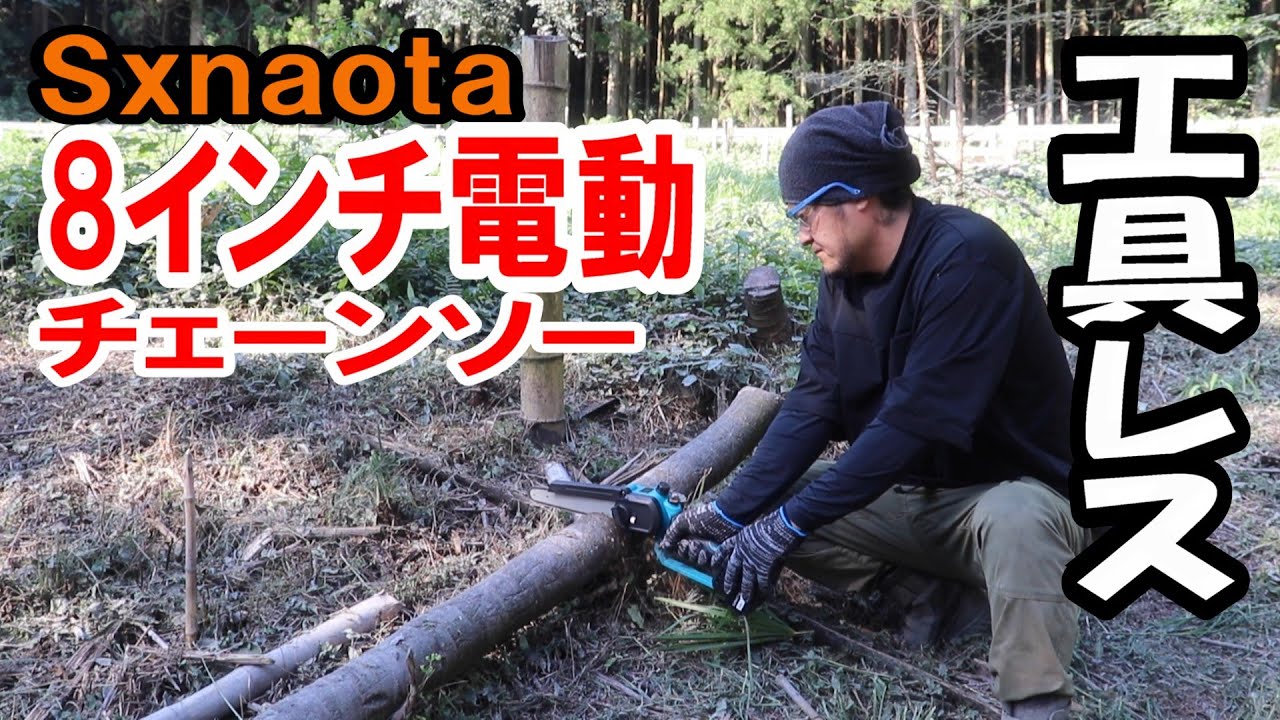 Sxnaota Rechargeable Chainsaw Review | Perfect for garden trees