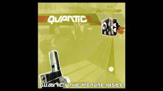 Quantic - The Picture Inside