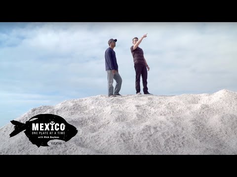 Black onions (Chef Roberto Solís, Nektar, Mérida), from the video