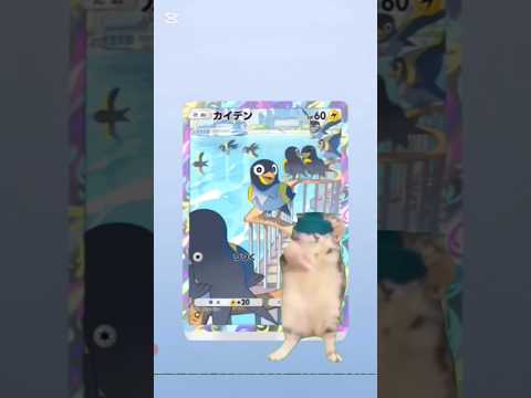 #shorts #pokemon #pokemoncards #pokemontcg #ポケモン #ポケモンカード #ポケカ #ポケポケ