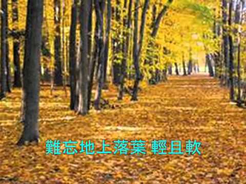 老方老歌集 這個秋天(合唱歌) 梁群+老方
