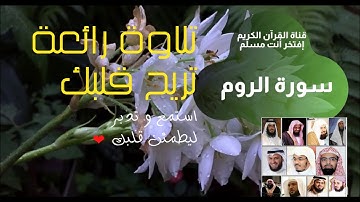 💚[سورة الروم]💚 تلاوة هادئة تنشرح لها الصدور وتطمئن القلب | نور القرآن | Quran Light