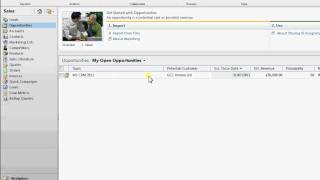 MS CRM 2011 Data Imports and Data Enrichment