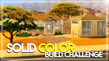 SOLID COLOR BUILD CHALLENGE || The Sims 4: Speed Build