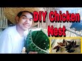 How to make Chicken Nest for Free Range Chicken | Rhode Island Red | Black Austrolorp