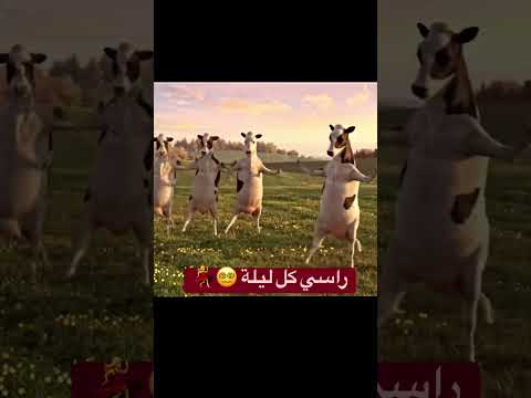 فاطمة بينينة كاع ماحشمتي بنا اكسبلور ميمزضحك   