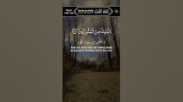 ماتيسر من سورة النحل #تلاوة_خاشعة #اكسبلور #المصحف #القران_الكريم #لايك