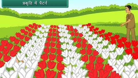 Mathematics Class 1 Patterns | Hindi Video | Learn Maths