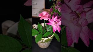 DIY artificial plant #shorts #viralshort #handmade #artificialplants #craftideas