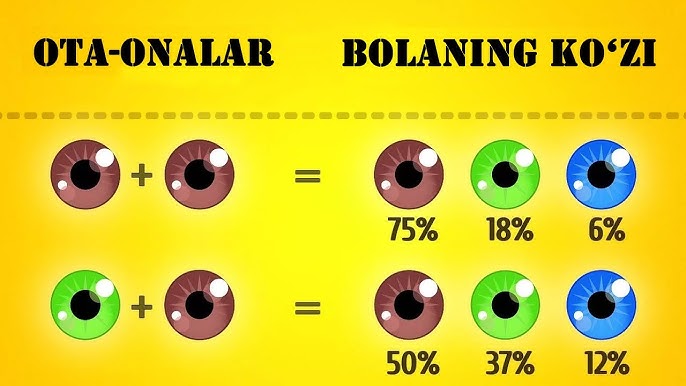 Kashtankaning ruscha porno videolarini tomosha qiling