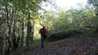 Randonnée Ariège/Pays d'Olmes : La Forêt de Bélesta