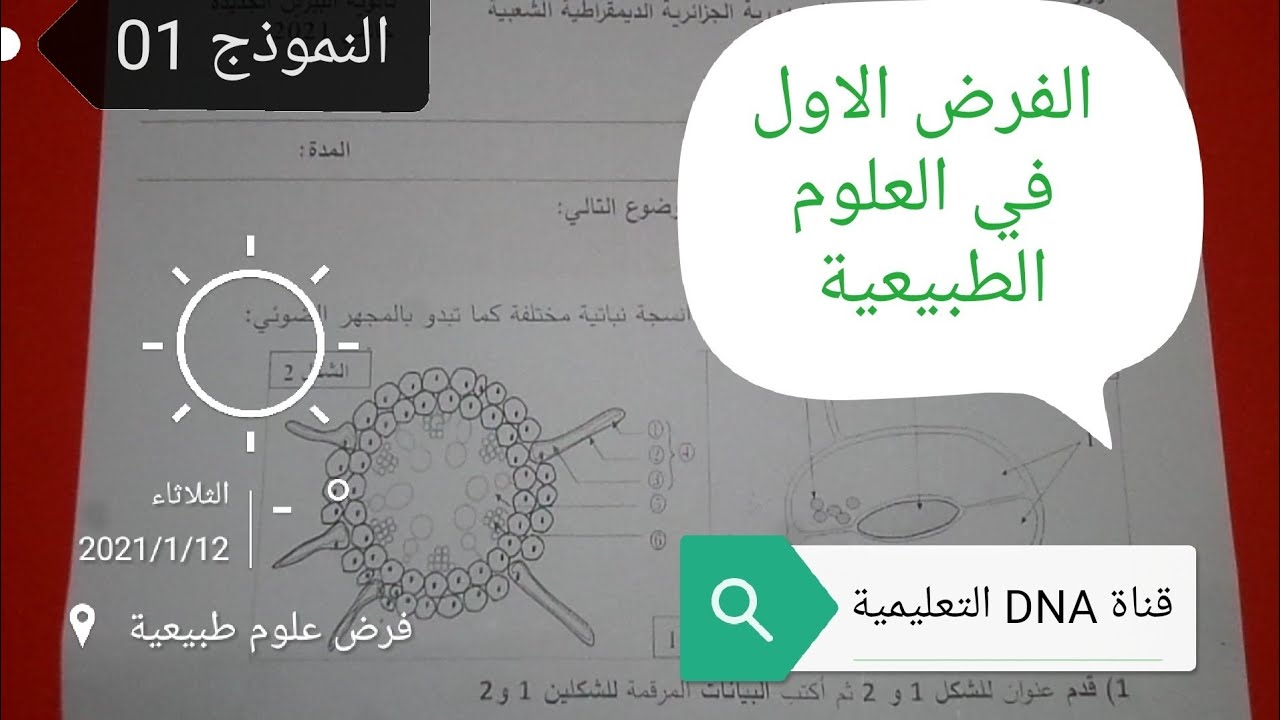 اختبار الفصل الاول في العلوم الطبيعية السنة الاولى ثانوي