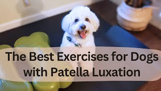 Exercise for Dogs with Patella Luxation (Medial & Lateral, Grade 1 & 2)