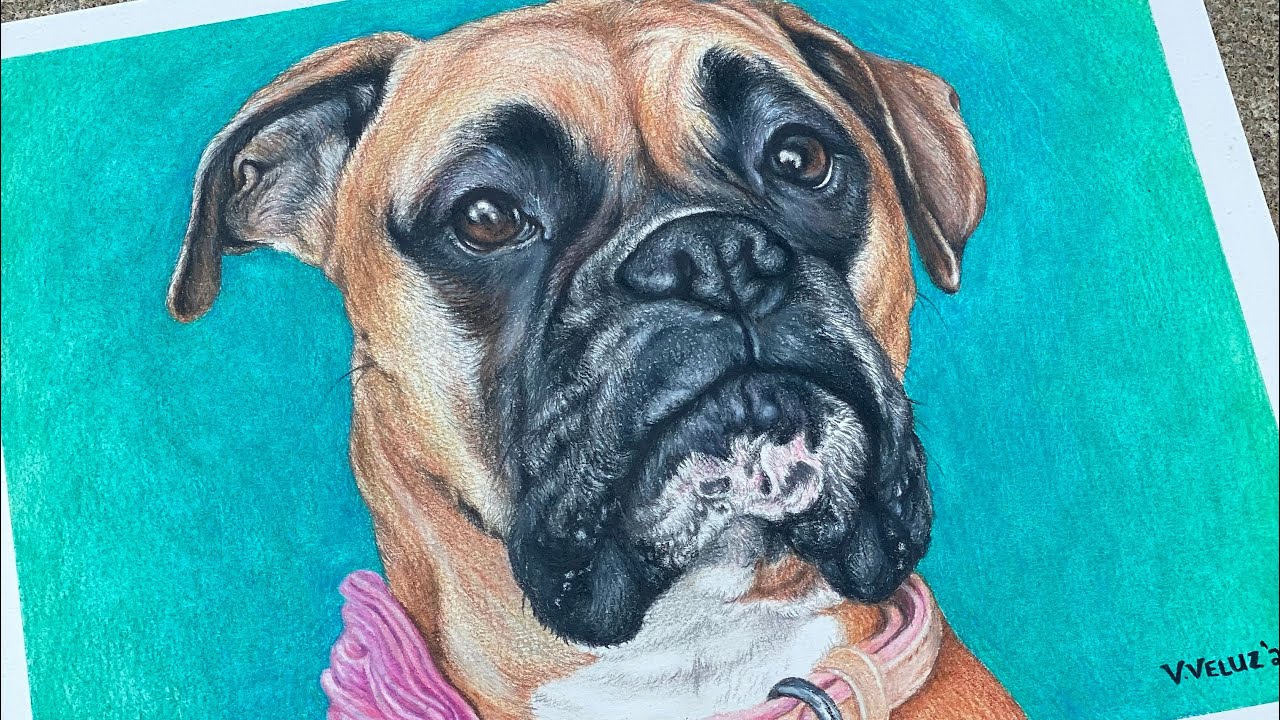 Drawing Details on a Dog’s Nose 