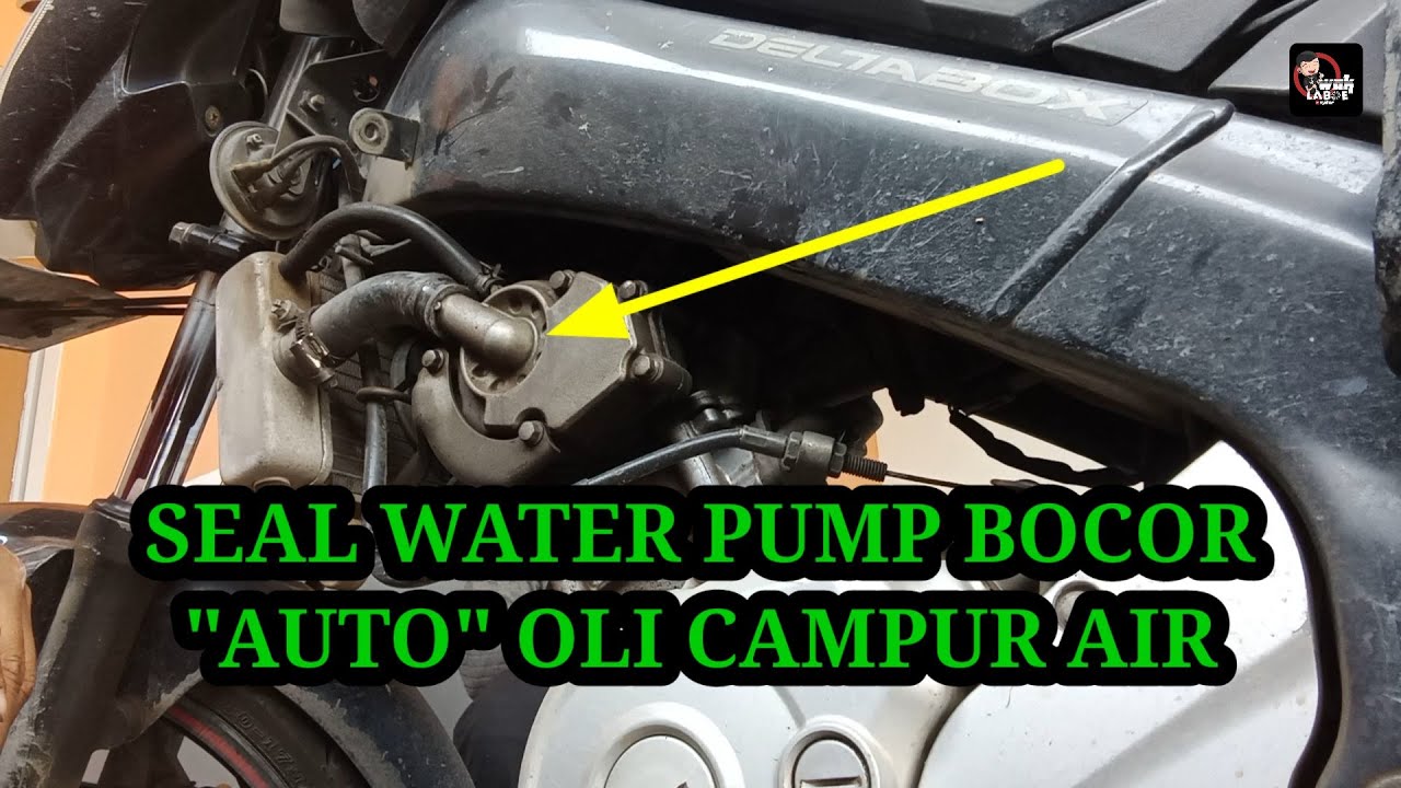 Cara mengganti seal water pump yamaha vixion