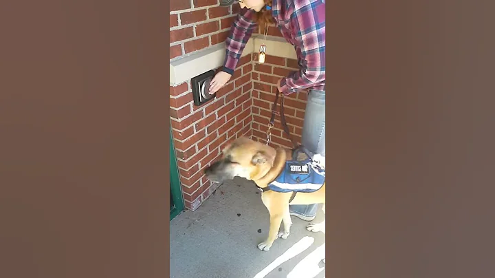 Opening Handicap Doors