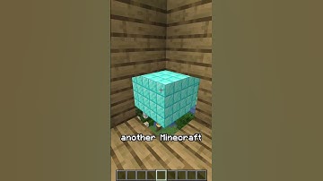 Minecraft Illusion Trick: Make ANY Block You Want!