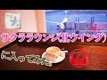 【早朝】JALのさくらラウンジ(北ウイング)に入ってみた。【日本航空】