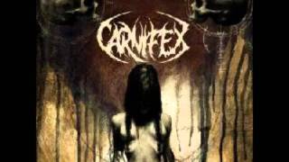 Carnifex - A Grave To Blame [HQ]