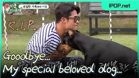 He faced the death of his only family member, his companion dog, and fell into deep sorrow...