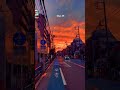Langit jingga Tokyo ##tokyo #galerinihong #japan