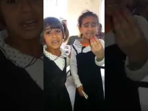 مقطع الفيديو مضحك