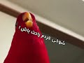 میم طوطی قرمز برای آخر ویدئو 