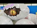Animatronic Dinosaur Egg For Dinosaur Theme Exhibit