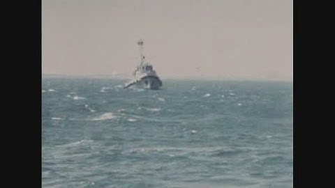 News Item (8cd6e842-64f6-5572-4d9a-060116326972)