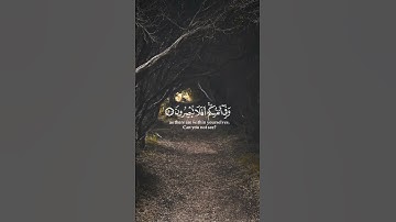 وفي الأرض آيات للموقنين وفي أنفسكم أفلا تبصرون(اسلام صبحي)