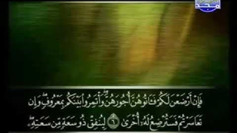 065 At Talaq     سورة الطلاق   علي الحذيفي