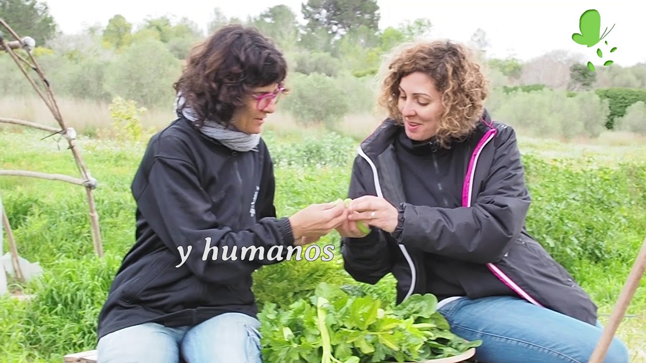 La Huerta de El Hogar farmers insurance