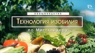 Вступительная программа  | Технология изобилия