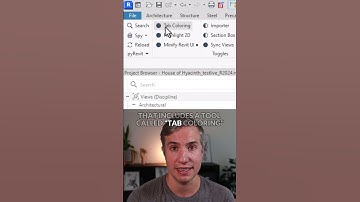 Colored Tabs in Revit