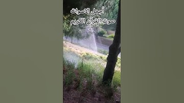 #سورة_آل_عمران بصوت جميل للشيخ #سعود_الشريم 😍🌹 #اكسبلور #المصحف #راحة_نفسية #تصويري