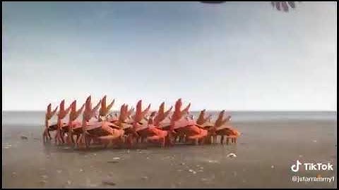 National Unity Day WhatsApp Status Video||Unity is Power||funny video 🤣