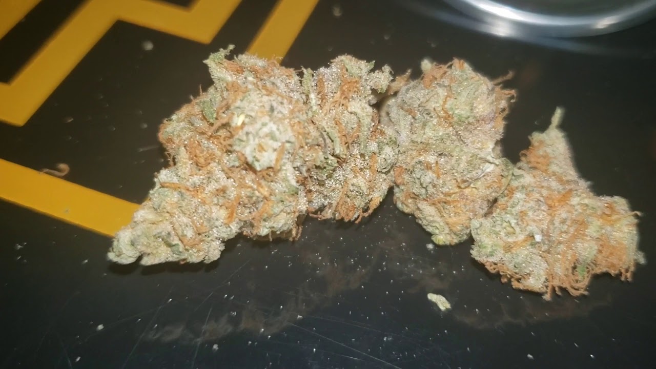 STRAIN REVIEW 172: space queen - TTC