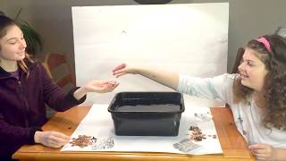 STEM Aluminum boat buoyancy challenge experiment (STEM ACTIVITY)