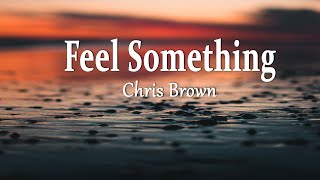 Chris Brown - Feel Something (Lyrics) Resimi