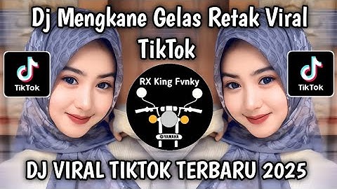 DJ GELAS RETAK VIRAL TIKTOK TERBARU 2025 YANG KALIAN CARI || DJ AKU LAH GELAS YANG RETAK 