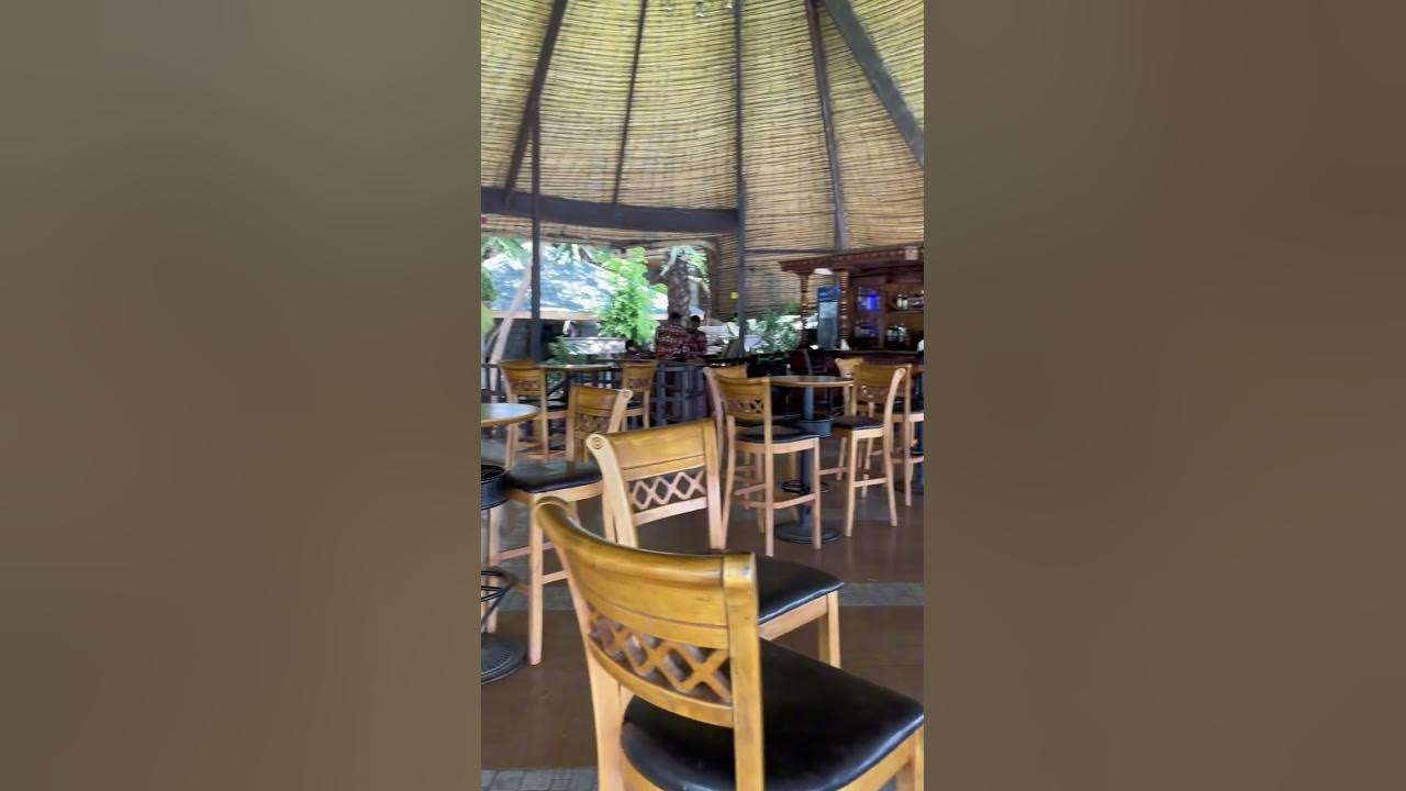 Liesak Resort resorts ethiopia hotel YouTube bitcoin-price-corrects-to-90k-healthy-dip-or-cause-for-concern