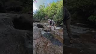 Unterschätze niemals die Pfützen auf den Felsen