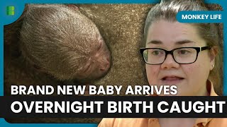 First Time Mum Ava Gives Birth Overnight Surprise | Monkey Life Net Worth
