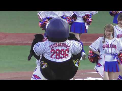 久しぶりに見た!!つば九郎のセクハラ!!今年も健在!! 2022.06.02 プロ野球交流戦 ヤクルトスワローズvs千葉ロッテマリーンズ