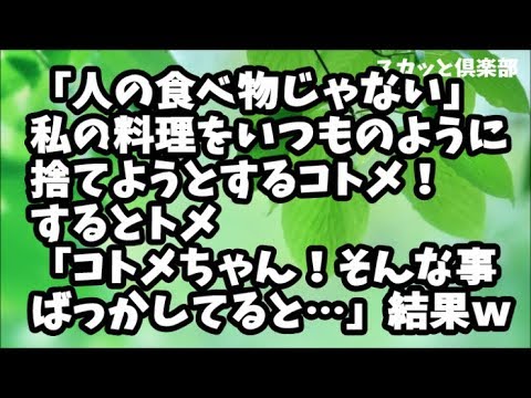 【スカッとする話】「これ美味しいと思う？人の食べ物じゃないわ」と私の料理をまたいつものように捨てようとするコトメ！するとトメ「コトメちゃん、そんな事ばっかしてると…」結果ｗ