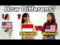 Malaysia and Indonesia Comparison!! Similarities &amp; Differences in Culture and Languages!
