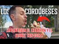 Ruta gastronómica en Córdoba 😋| Del choripan, al lomito y el Fernet