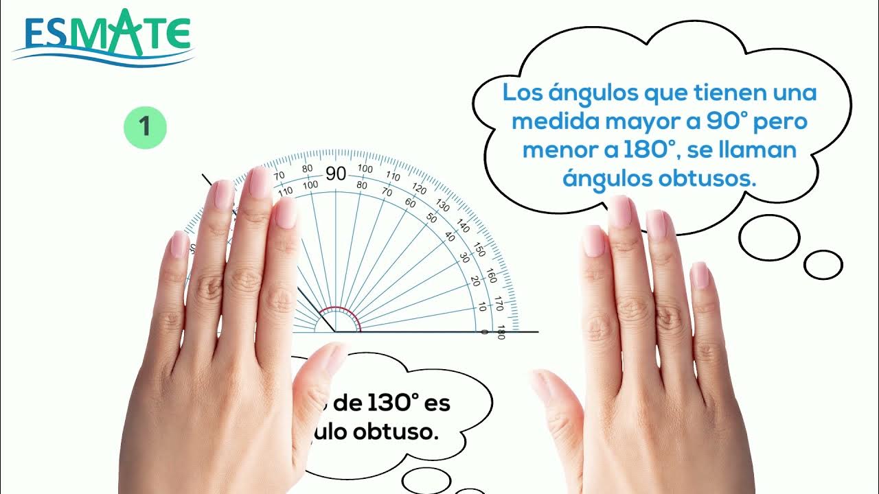 Transportador de Angulos Para Imprimir - Cool2bKids  Medicion de angulos,  Ejercicios de calculo, Matemáticas para secundaria